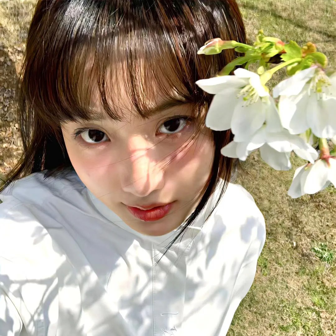 我家的英雄 电影版
