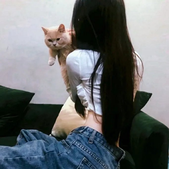 陆昭昭的刺客笔记